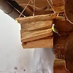 בית חווה Miodowa Goscinne בוסטריק