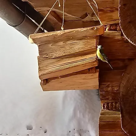 Farm stay Miodowa Goscinne Bustryk