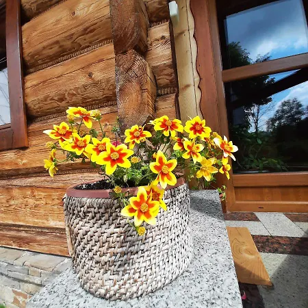 Farma Miodowa Goscinne Bustryk